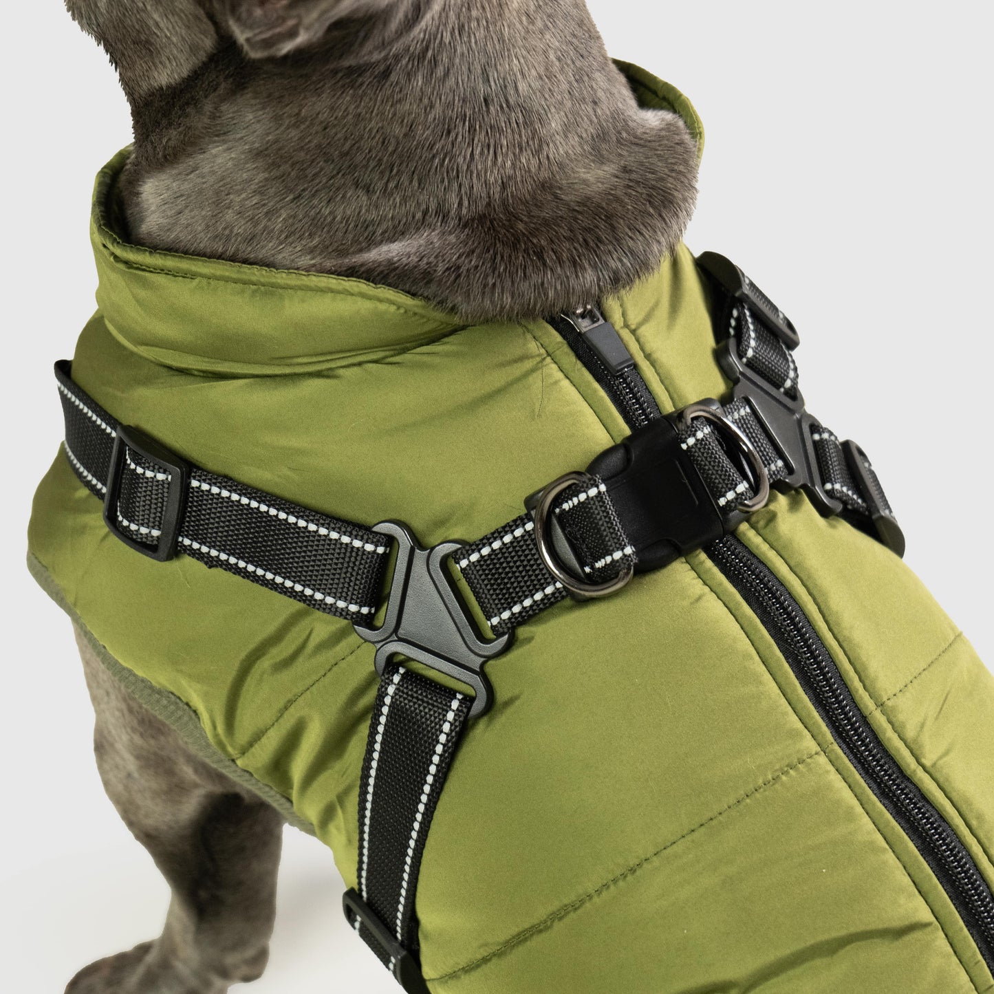 Pawtique Waterproof Jacket™