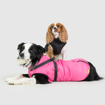 Pawtique Waterproof Jacket™