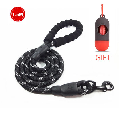 Pawtique Dog Leash + FREE Pop Bag Dispenser