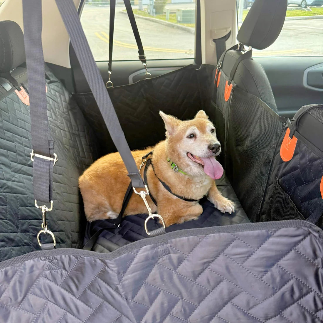 PawRider™ Dog Seat Protector