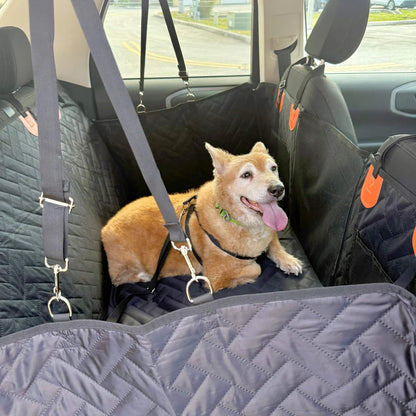 PawRider™ Dog Seat Protector