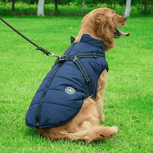 Pawtique Waterproof Jacket™